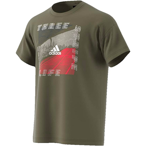 Kleidung Herren T-Shirts adidas Originals DV3065 Grün
