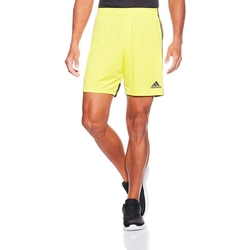 Kleidung Herren Shorts / Bermudas adidas Originals DP3249 Gelb