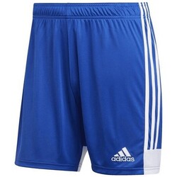 Kleidung Herren Shorts / Bermudas adidas Originals DP3682 Blau