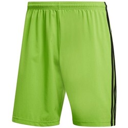 Kleidung Jungen Shorts / Bermudas adidas Originals DP5368-BIMBO Grün