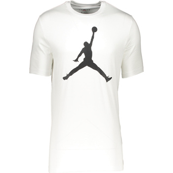 Kleidung Herren T-Shirts Nike CJ0921 Weiss
