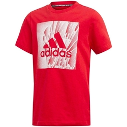 Kleidung Jungen T-Shirts adidas Originals ED7246 Rot