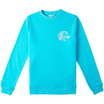 Kleidung Mädchen Sweatshirts O'neill 3750016-15046 Blau
