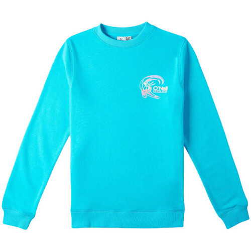 Kleidung Mädchen Sweatshirts O'neill 3750016-15046 Blau