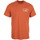 Kleidung Herren T-Shirts Nike M J Flt Artist Series Ss Crew Orange