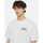 Kleidung T-Shirts & Poloshirts Dickies Aitkin chest tee ss Weiss