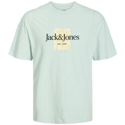 Kleidung Herren T-Shirts Jack & Jones 12250436 JORLAFAYETTE Grün