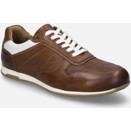 Schuhe Herren Derby-Schuhe & Richelieu Josef Seibel Colby 01, cognac Braun