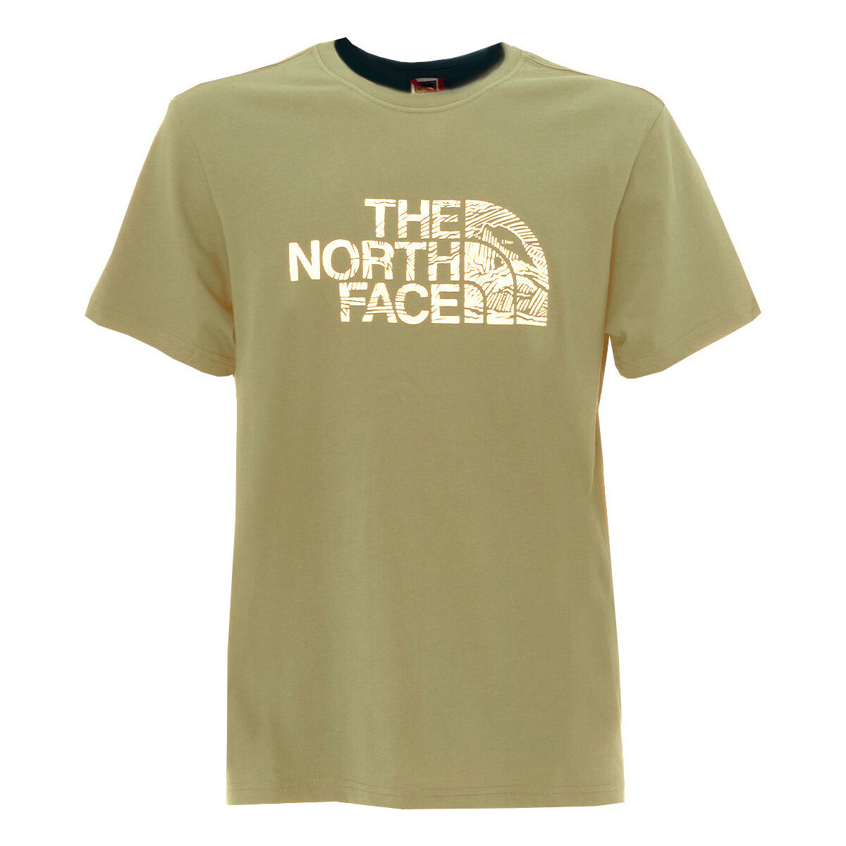 Kleidung Herren T-Shirts The North Face NF0A87NX Beige