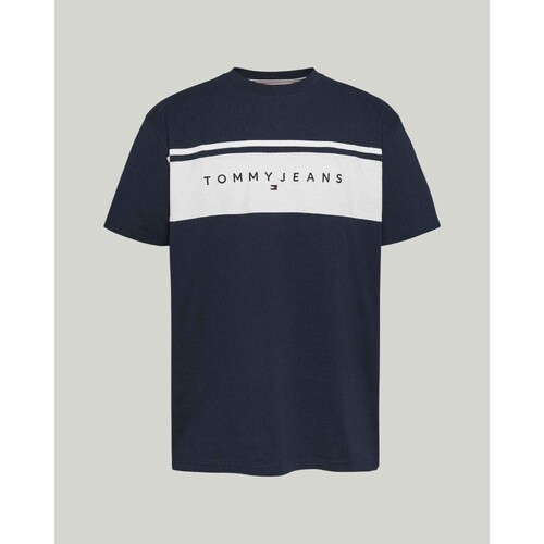 Kleidung Herren T-Shirts Tommy Hilfiger DM0DM18658C1G Blau