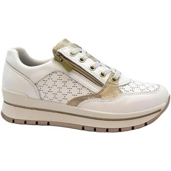 Schuhe Damen Sneaker Low IgI&CO IGI-E24-5662100-BI Beige