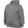 Kleidung Damen Sweatshirts Nike Sport Sportswear Phoenix Fleece Hoodie DQ5860-063 Grau