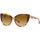Uhren & Schmuck Sonnenbrillen Ralph Lauren Sonnenbrille  RL8215BU 60932L Braun