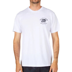 Kleidung Herren T-Shirts & Poloshirts Salty Crew SC20035535 Weiss