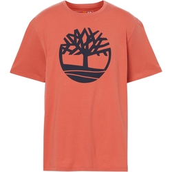Kleidung Herren T-Shirts Timberland 227500 Orange