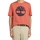 Kleidung Herren T-Shirts Timberland 227500 Orange
