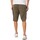 Kleidung Herren Shorts / Bermudas Timberland Twill-Cargoshorts Grün