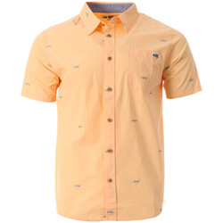 Kleidung Herren Kurzärmelige Hemden Salty Crew SC21035095 Orange