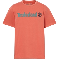 Kleidung Herren T-Shirts Timberland 227446 Orange