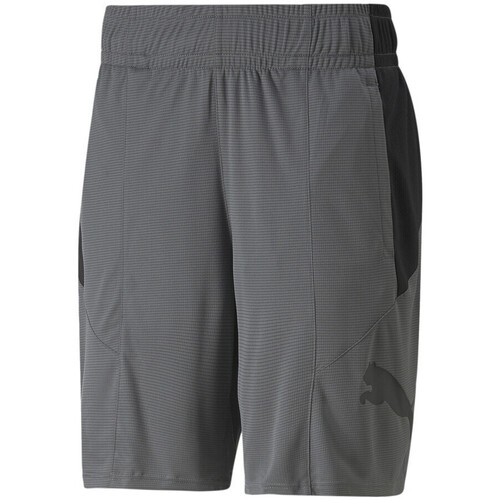 Kleidung Herren Shorts / Bermudas Puma 522354-44 Grau