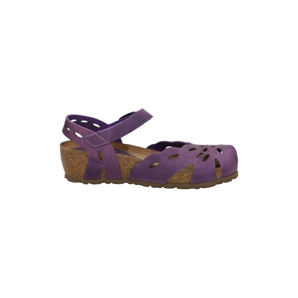 Schuhe Damen Sandalen / Sandaletten Interbios  Violett