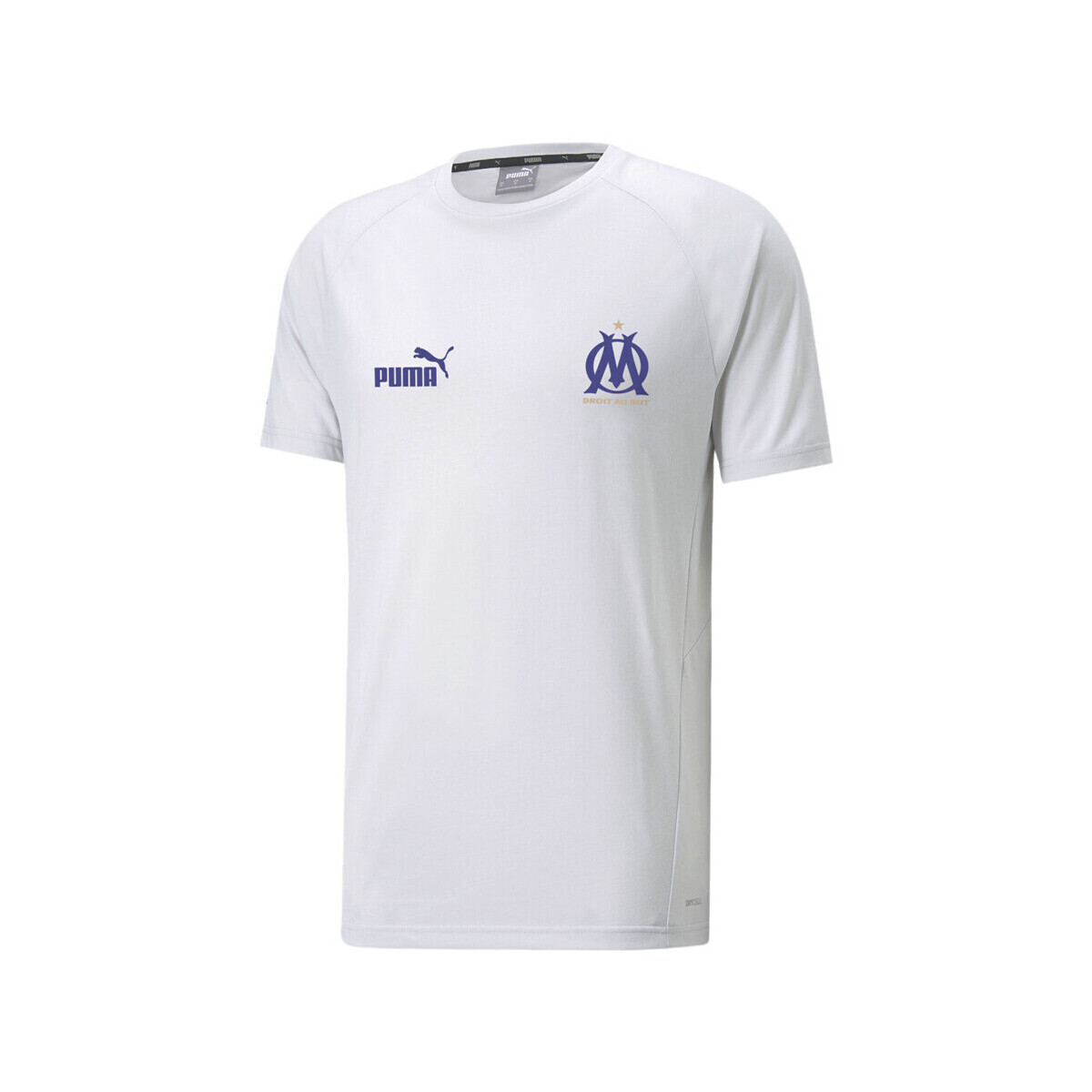 Kleidung Herren T-Shirts & Poloshirts Puma 767298-07 Weiss