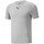 Kleidung Herren T-Shirts & Poloshirts Puma 521556-03 Grau