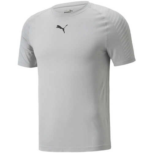Kleidung Herren T-Shirts & Poloshirts Puma 521556-03 Grau