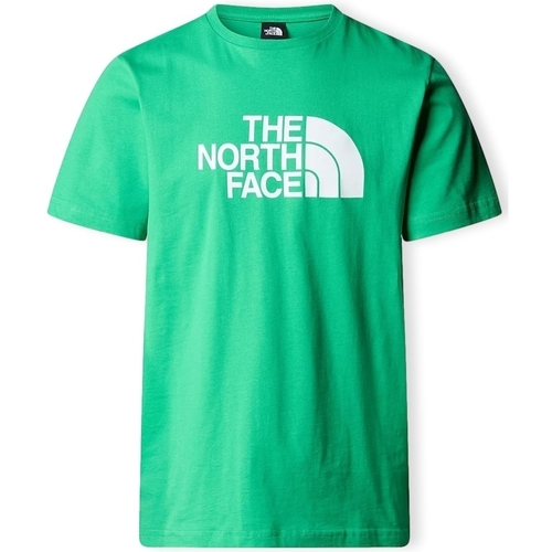 Kleidung Herren T-Shirts & Poloshirts The North Face Easy T-Shirt - Optic Emerald Grün
