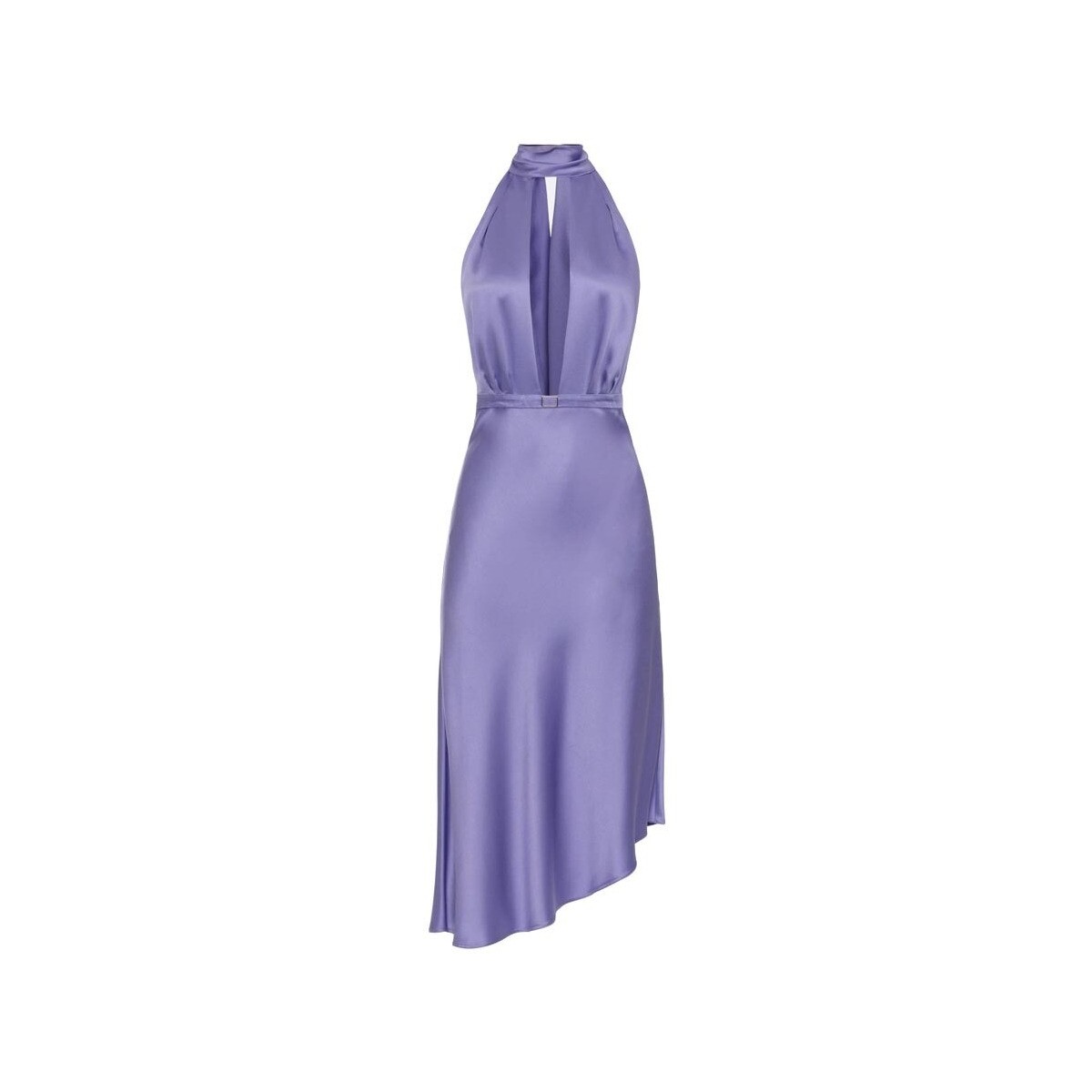 Kleidung Damen Kleider Elisabetta Franchi AB58042E2 Violett