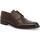 Schuhe Herren Richelieu Melluso U90601W-236866 Braun