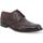 Schuhe Herren Richelieu Melluso U90604W-236894 Braun
