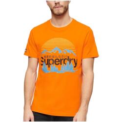 Kleidung Herren T-Shirts Superdry  Orange