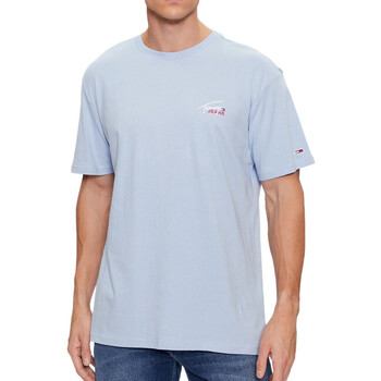 Kleidung Herren T-Shirts & Poloshirts Tommy Hilfiger DM0DM17714 Blau