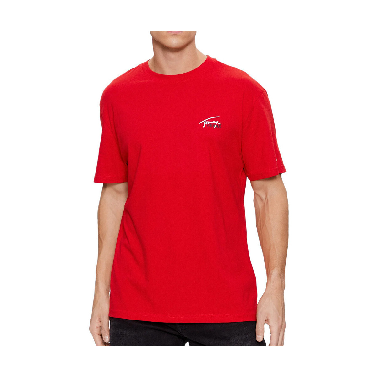 Kleidung Herren T-Shirts & Poloshirts Tommy Hilfiger DM0DM17714 Rot