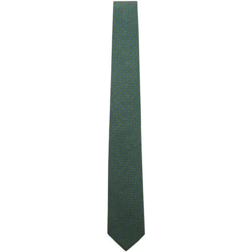 Kleidung Herren Krawatte und Accessoires Church's  Grün