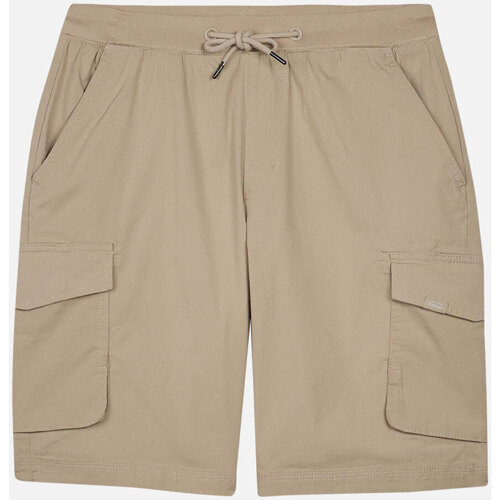 Kleidung Herren Shorts / Bermudas Oxbow Short cargo OTIKO Grau