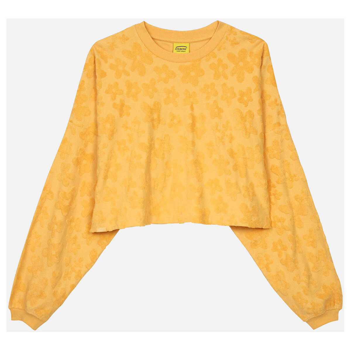 Kleidung Damen Sweatshirts Oxbow Sweat SUATOU Orange
