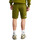 Kleidung Herren Shorts / Bermudas The North Face NF0A3S4E Grün