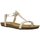 Schuhe Damen Sandalen / Sandaletten Plakton MAM ZOUK Gold