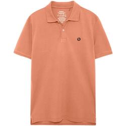Kleidung Herren T-Shirts Ecoalf  Orange