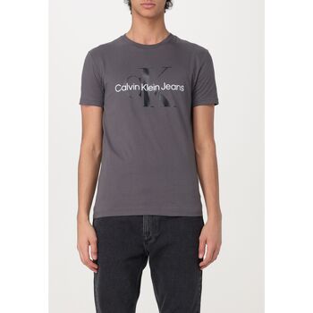 Kleidung Herren T-Shirts & Poloshirts Calvin Klein Jeans J30J320806 PSM Grau