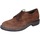 Schuhe Herren Derby-Schuhe & Richelieu Moma EY550 65303A Braun