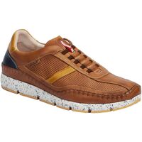 Schuhe Herren Sneaker Low Pikolinos M4u-6046c1 Braun