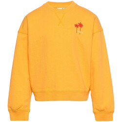 Kleidung Mädchen Sweatshirts O'neill 3750000-12010 Orange