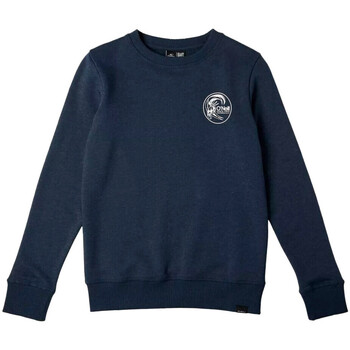 Kleidung Jungen Sweatshirts O'neill N4750002-15011 Blau