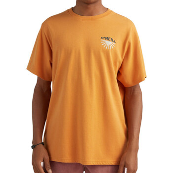 Kleidung Herren T-Shirts O'neill 2850097-17016 Orange
