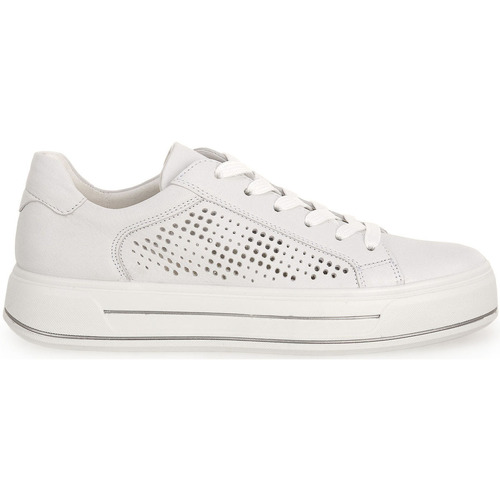 Ara CERVOCALF WEISS Weiss