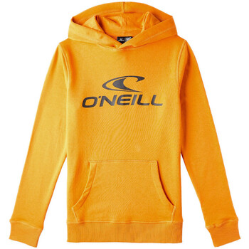 Kleidung Jungen Sweatshirts O'neill N4750004-17016 Orange
