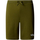 Kleidung Herren Shorts / Bermudas The North Face NF0A3S4F Grün